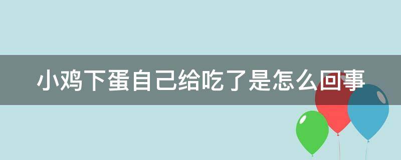 小鸡下蛋自己给吃了是怎么回事 小鸡下蛋自己吃了怎么办