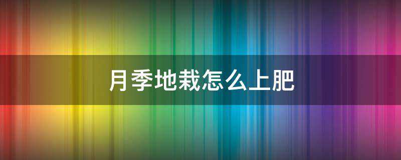 月季地栽怎么上肥（月季花怎样施肥）