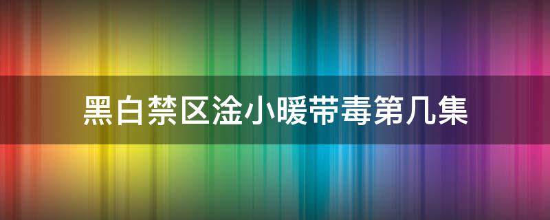 黑白禁区淦小暖带毒第几集（黑白禁区淦小暖带毒品是第几集）