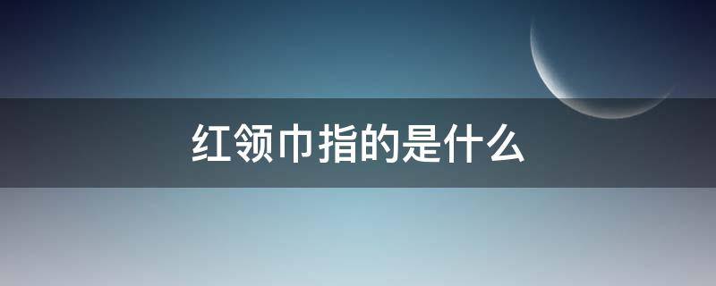 红领巾指的是什么（红领巾真好红领巾指的是什么）