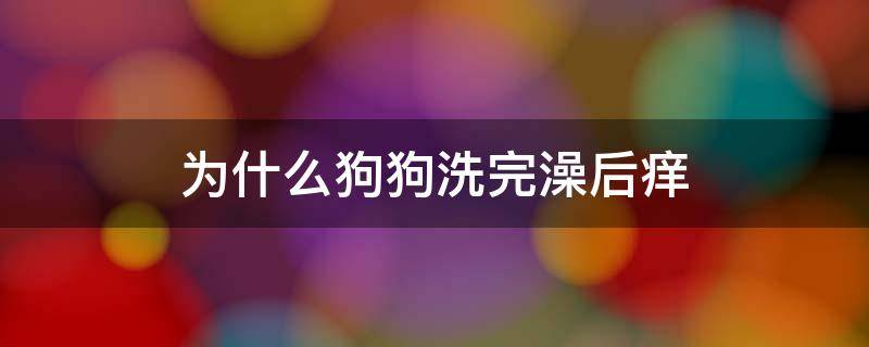 为什么狗狗洗完澡后痒 为什么狗狗洗完澡之后反而很痒