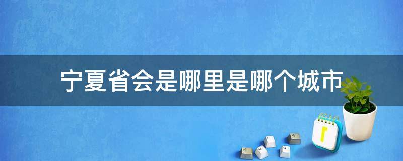 宁夏省会是哪里是哪个城市（宁夏的省会城市是哪）