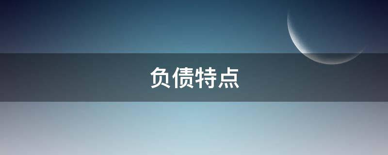 负债特点 长期负债特点