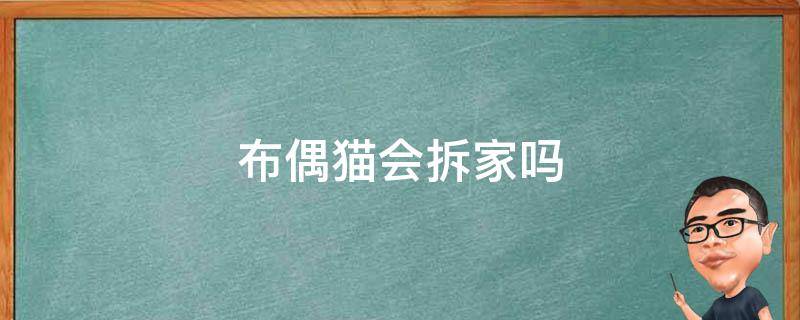 布偶猫会拆家吗 布偶猫容易跑丢吗