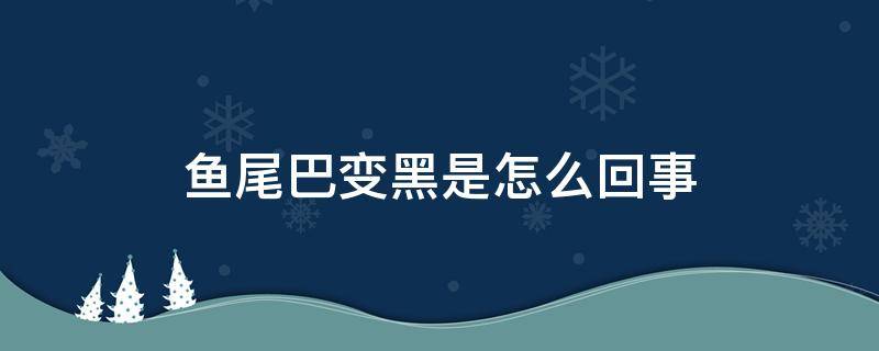 鱼尾巴变黑是怎么回事（鱼尾变黑是什么原因）