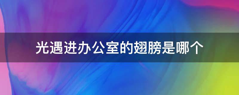 光遇进办公室的翅膀是哪个 光遇办公室里有光之翼吗