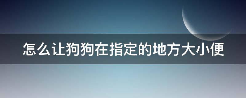 怎么让狗狗在指定的地方大小便 治狗乱尿最简单的方法