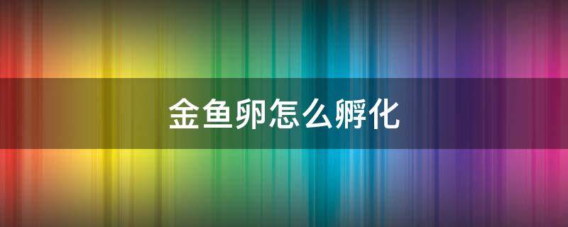 金鱼卵怎么孵化（金鱼卵怎么孵化注意事项）