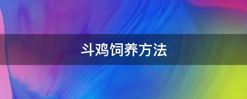 斗鸡饲养方法 斗鸡养殖技术和训练方法