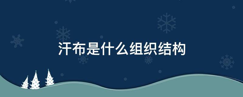 汗布是什么组织结构 汗布的成分