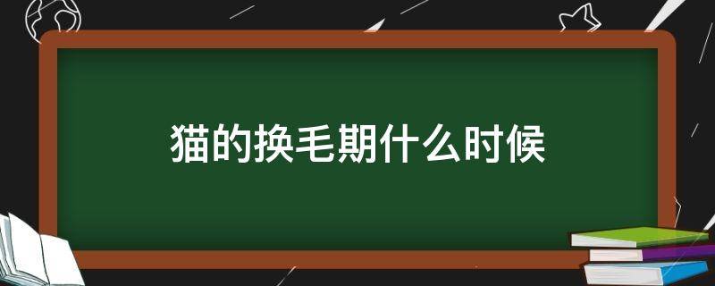 猫的换毛期什么时候 猫的换毛期什么时候开始