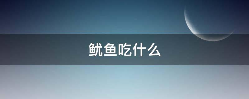 鱿鱼吃什么 发光鱿鱼吃什么