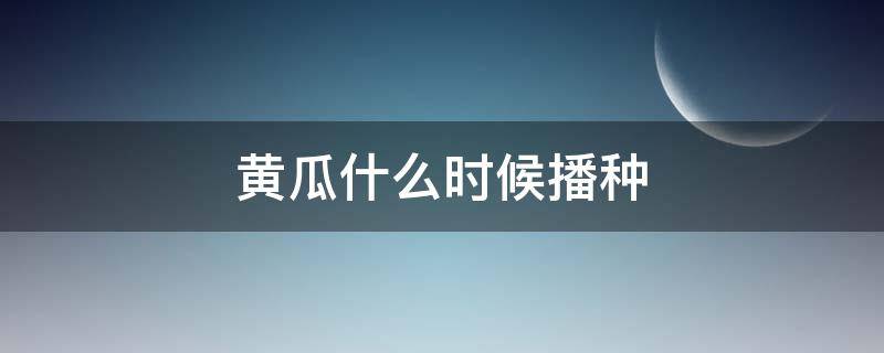 黄瓜什么时候播种（春季大田黄瓜什么时候播种）