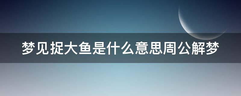 梦见捉大鱼是什么意思周公解梦 女人梦见鱼的七大预兆