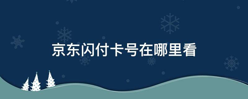 京东闪付卡号在哪里看 京东闪付的卡号在哪看