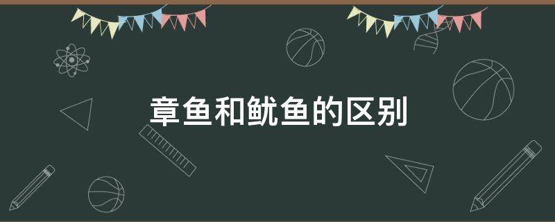 章鱼和鱿鱼的区别 八爪章鱼和鱿鱼的区别