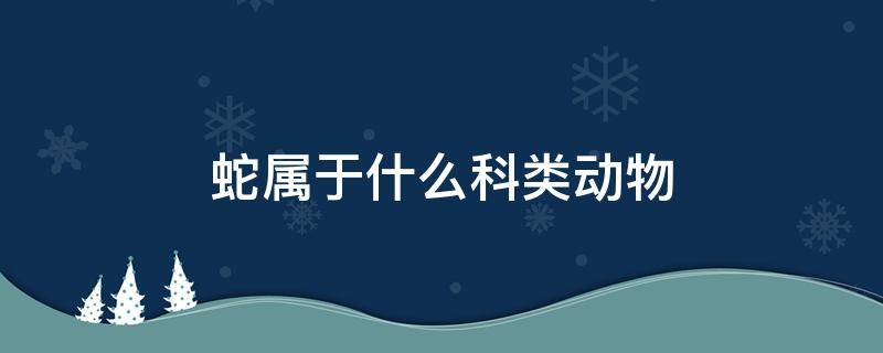 蛇属于什么科类动物 蛇属于哪一科动物