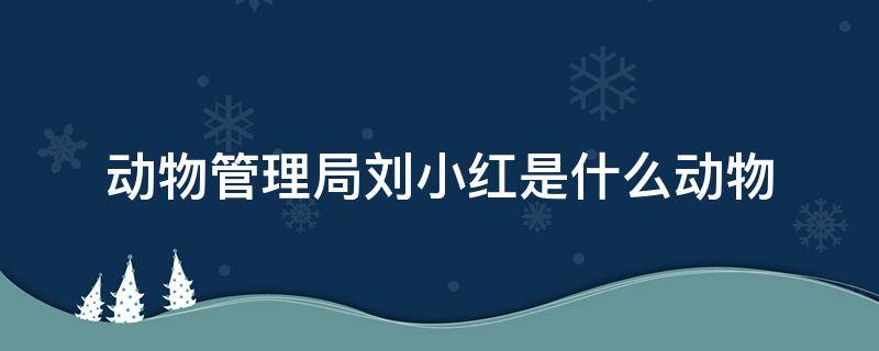 动物管理局刘小红是什么动物（动物管理局中小红是什么动物）