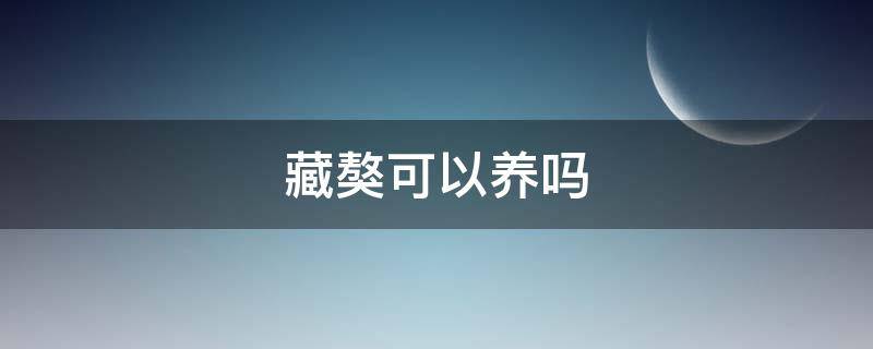 藏獒可以养吗（藏獒还能养吗）