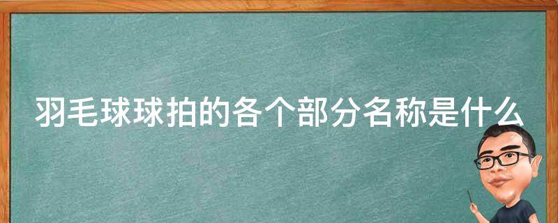 羽毛球球拍的各个部分名称是什么（羽毛球拍的各个部位）