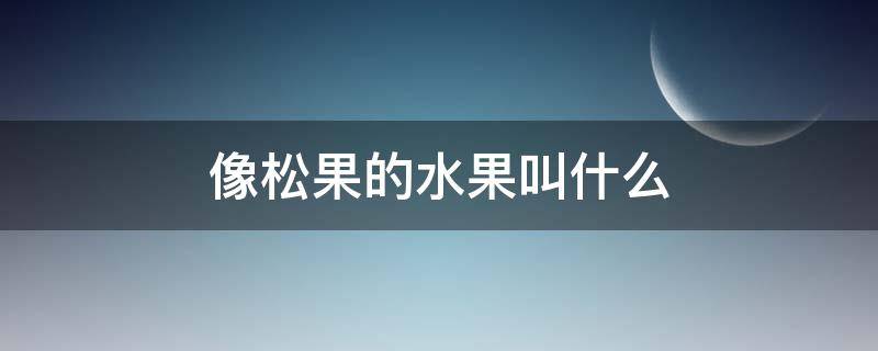 像松果的水果叫什么 像松果的水果叫什么名字