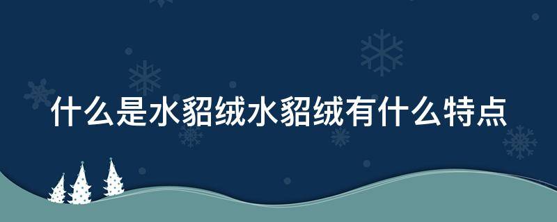 什么是水貂绒水貂绒有什么特点 水貂绒是什么材质图片