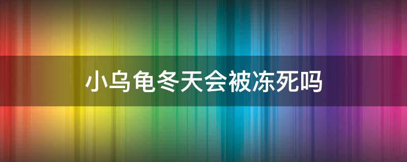 小乌龟冬天会被冻死吗 冬天太冷乌龟会冻死吗