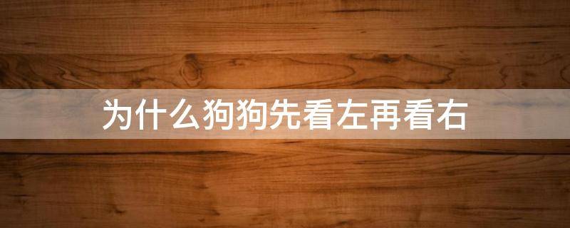 为什么狗狗先看左再看右 狗为什么先看左边再看右边脑筋急转弯