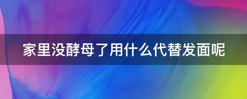 家里没酵母了用什么代替发面呢（家里没酵母粉可以用什么代替它）