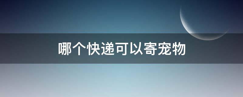 哪个快递可以寄宠物（宠物快递公司有哪些）