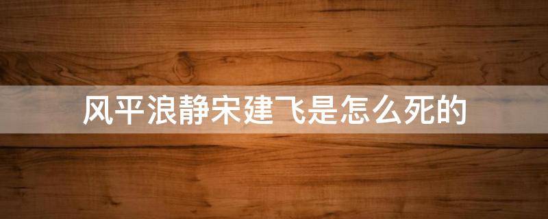 风平浪静宋建飞是怎么死的（风平浪静宋为啥是要杀）