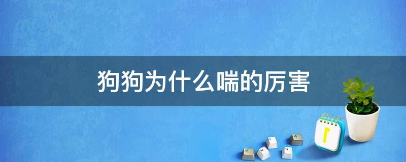 狗狗为什么喘的厉害 狗狗喘的厉害是什么原因