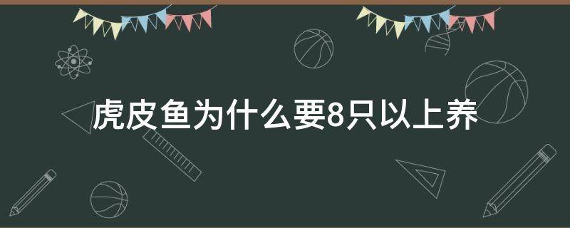 虎皮鱼为什么要8只以上养 皮虎鱼好养吗