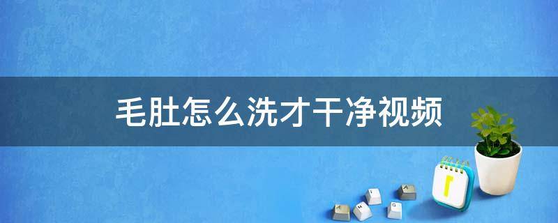 毛肚怎么洗才干净视频（毛肚怎么洗才能干净视频）