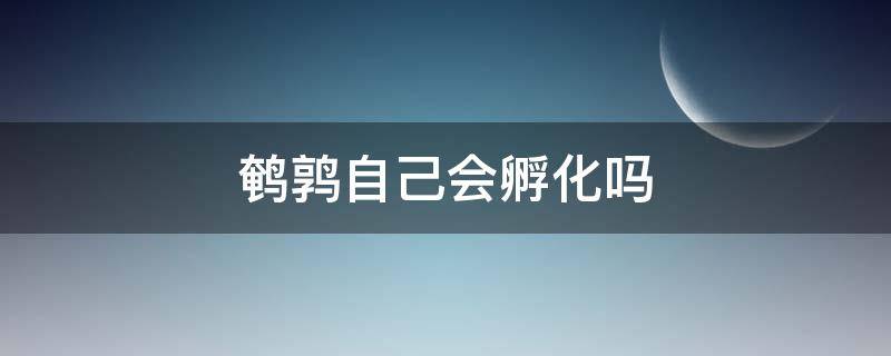 鹌鹑自己会孵化吗（为什么鹌鹑不会自己孵出来）