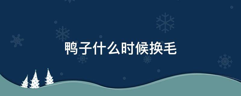 鸭子什么时候换毛 鸭子什么时候换毛什么时候下蛋