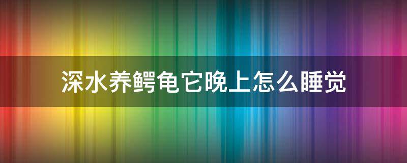 深水养鳄龟它晚上怎么睡觉（鳄龟晚上干养白天放水里）