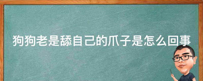 狗狗老是舔自己的爪子是怎么回事 狗狗为啥老舔自己的爪子