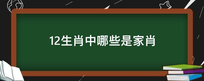 12生肖中哪些是家肖（十二生肖里面的家肖是哪几个）