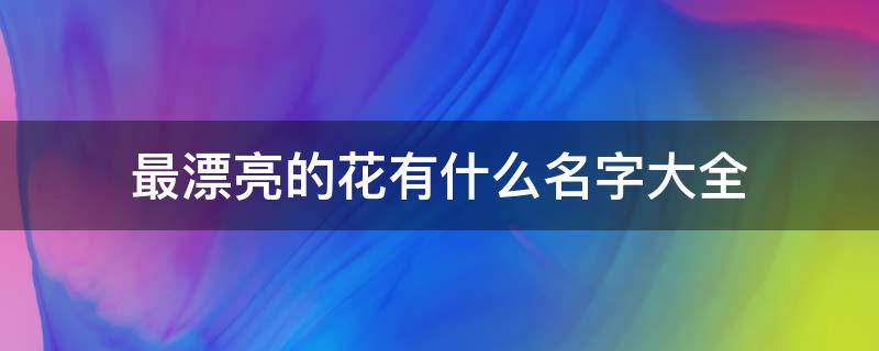 最漂亮的花有什么名字大全 最美的花的名字大全