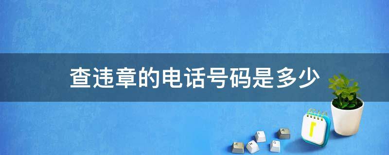 查违章的电话号码是多少 电话查询违章电话号码是多少