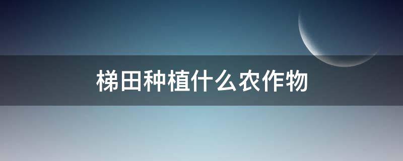 梯田种植什么农作物 梯田一般种植什么农作物