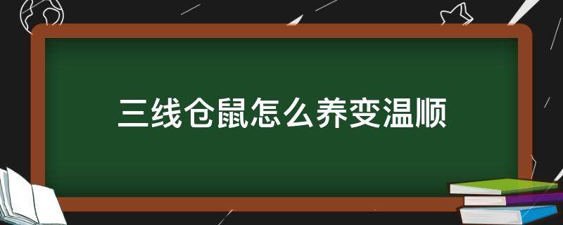 三线仓鼠怎么养变温顺（三线仓鼠温顺吗）