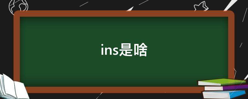 ins是啥 ins是啥意思