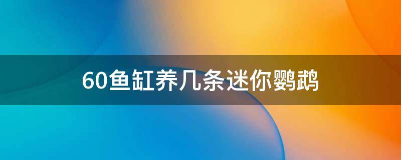 60鱼缸养几条迷你鹦鹉（50的鱼缸养几条迷你鹦鹉鱼）