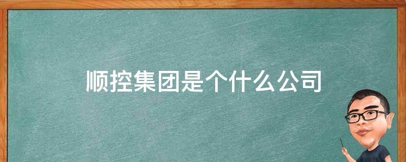 顺控集团是个什么公司（顺控集团下属企业）