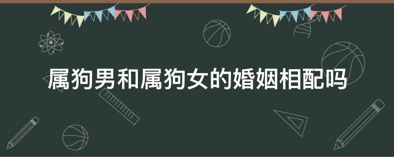 属狗男和属狗女的婚姻相配吗 属狗男与属狗女婚配合适吗