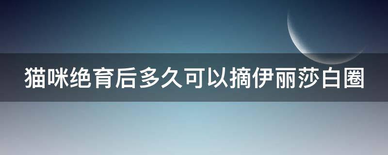 猫咪绝育后多久可以摘伊丽莎白圈（公猫绝育三天可以摘头套了吗）