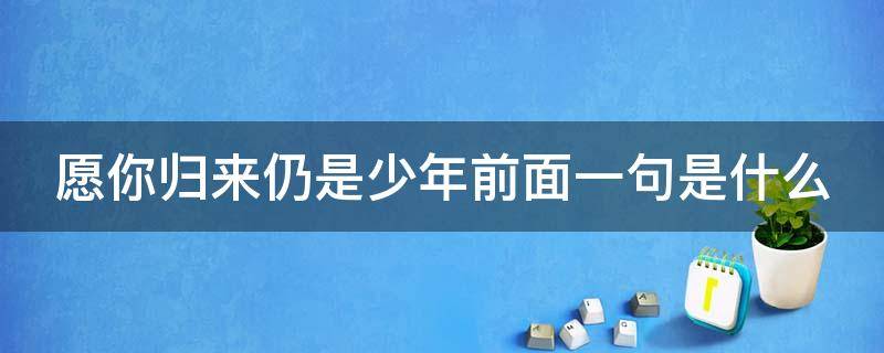 愿你归来仍是少年前面一句是什么 愿你归来仍是少年前面一句是什么风雨里像个大人