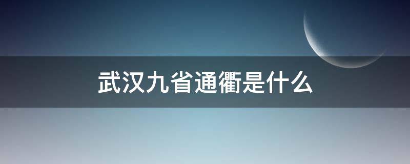 武汉九省通衢是什么 武汉九省通衢是什么读音